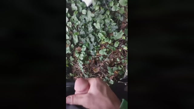 albaniacaserta4  03-12-2022